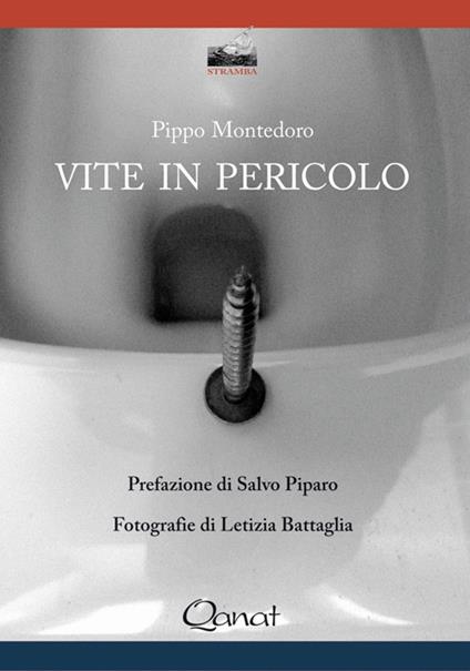 Vite in pericolo - Pippo Montedoro - copertina