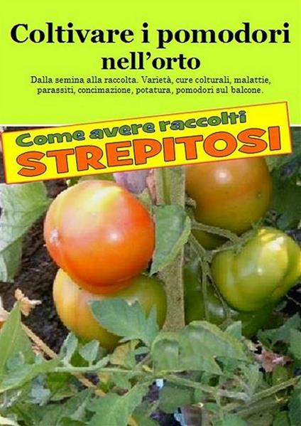 Coltivare i pomodori nell'orto. Come avere raccolti strepitosi - Bruno Del Medico,Elisabetta Del Medico - ebook