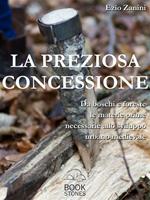 La preziosa concessione. Da boschi e foreste le materie prime necessarie allo sviluppo urbano medievale