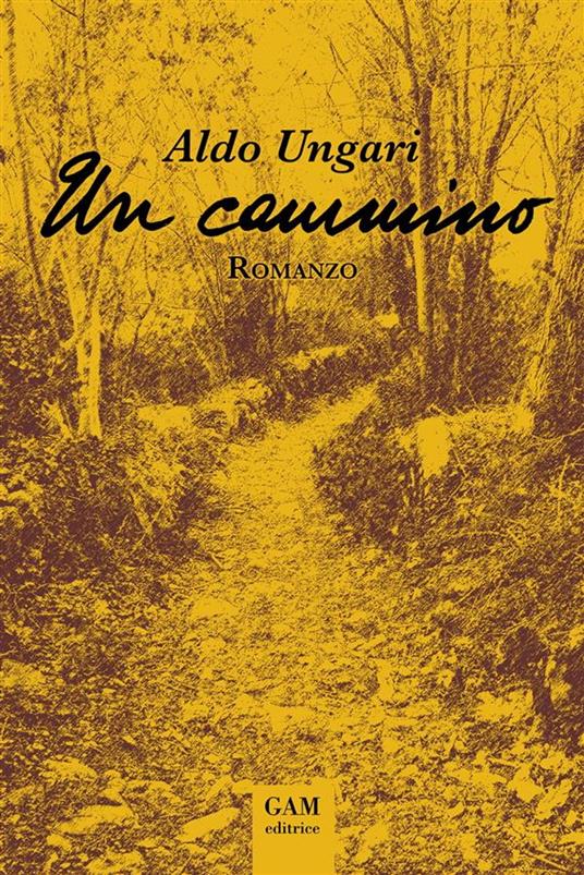 Un cammino - Aldo Ungari - ebook