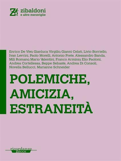 Polemiche, amicizia, estraneità - Enrico De Vivo - ebook