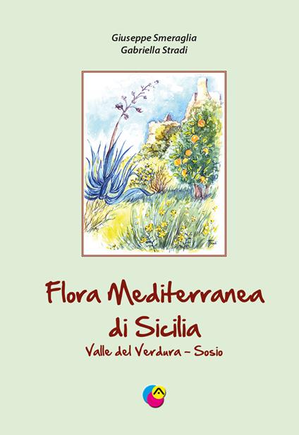 Flora mediterranea di Sicilia valle del Verdura-Sosio - Giuseppe Smeraglia,Gabriella Stradi - copertina