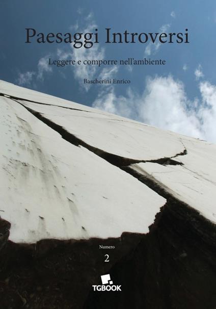 Paesaggi introversi - Enrico Bascherini - copertina