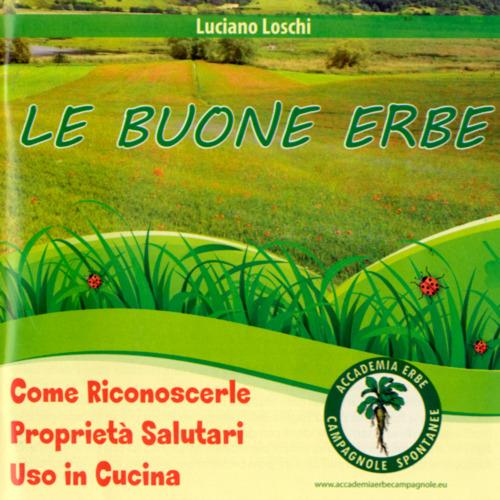 Le buone erbe. Come riconoscerle. Proprietà salutari. Uso in cucina - Luiciano Loschi - copertina