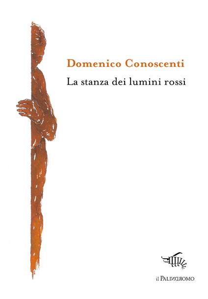 La stanza dei lumini rossi - Domenico Conoscenti - copertina