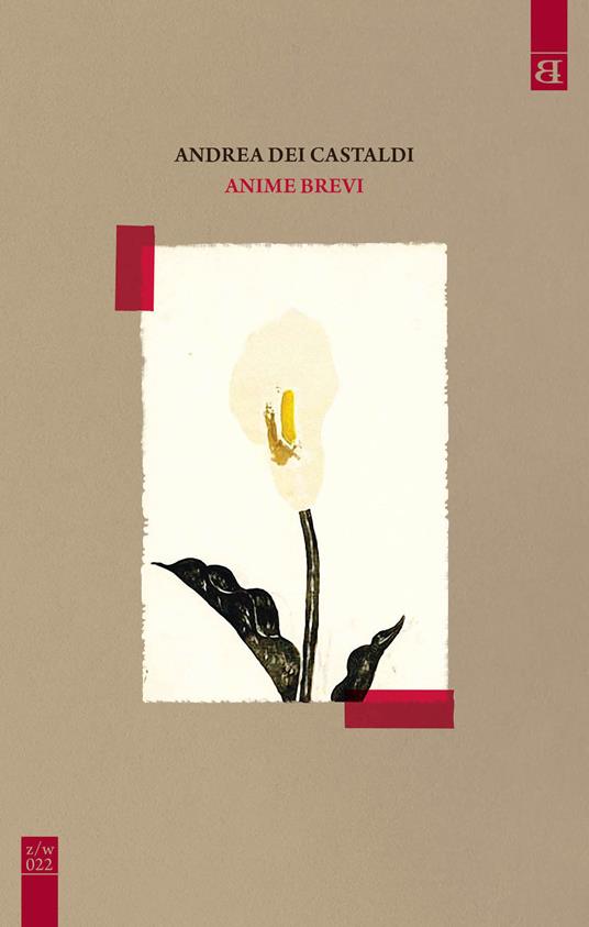 Anime brevi - Castaldi Andrea Dei - copertina