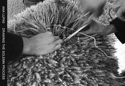 Drawing the solemn process. Ediz. illustrata - Ana Lupas - copertina