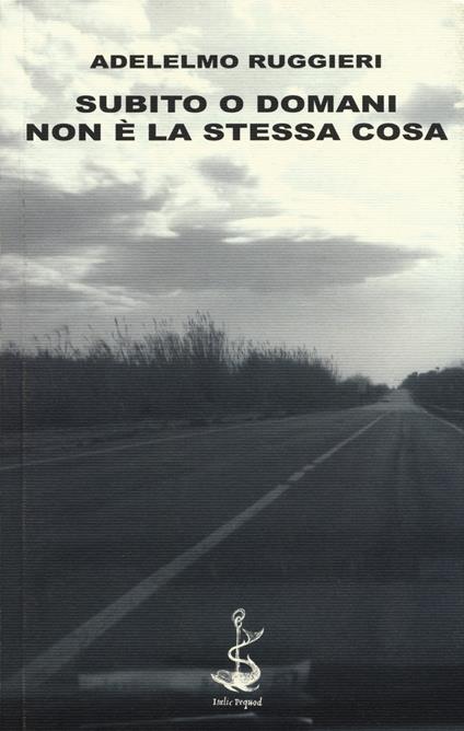 Subito o domani. Non è la stessa cosa - Adelelmo Ruggieri - copertina