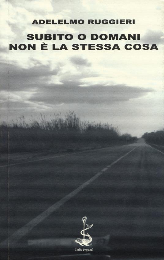 Subito o domani. Non è la stessa cosa - Adelelmo Ruggieri - copertina