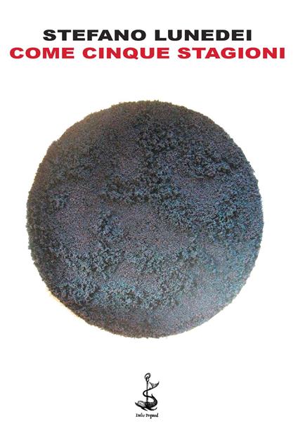 Come cinque stagioni - Stefano Lunedei - copertina