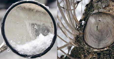 Questa notte ha nevicato. Ediz. a colori - Ninamasina - 2