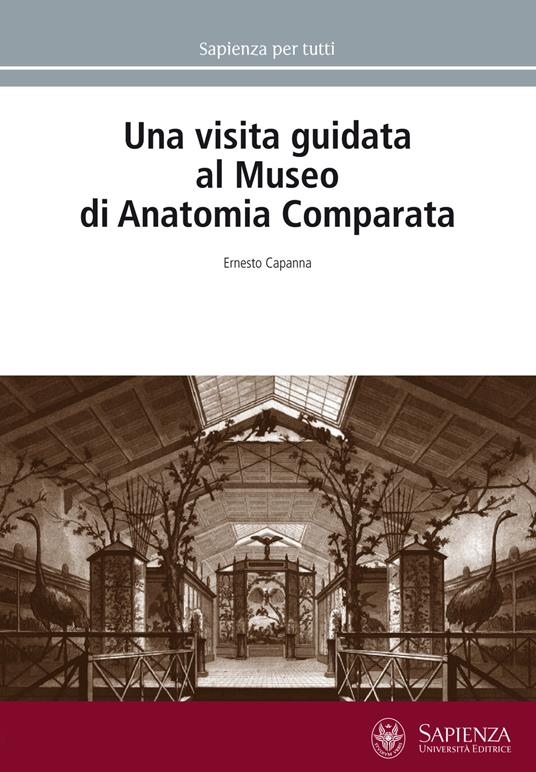 Una visita guidata al Museo di anatomia comparata - Ernesto Capanna - copertina