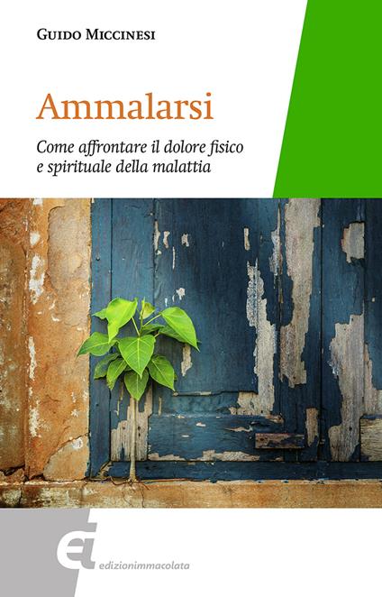 Ammalarsi. Come affrontare il dolore fisico e spirituale della malattia - Guido Miccinesi - copertina