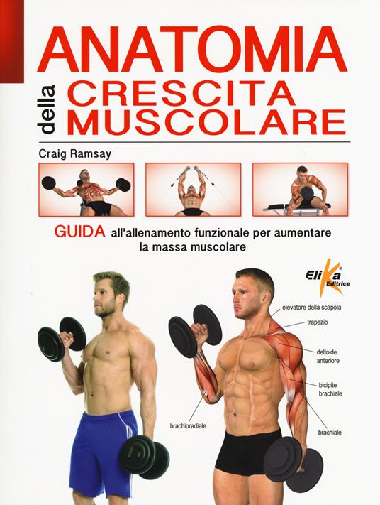 Anatomia della crescita muscolare. Guida all'allenamento funzionale per aumentare la massa muscolare. Ediz. illustrata - Craig Ramsay - copertina