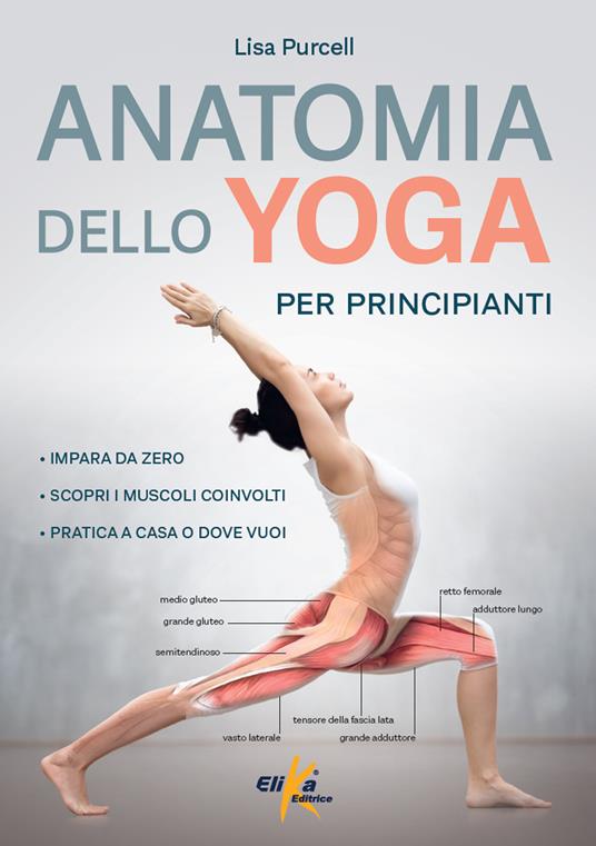 Anatomia dello yoga per principianti. Impara da zero, Scopri i muscoli coinvolti, pratica a casa o dove vuoi - Lisa Purcell - copertina