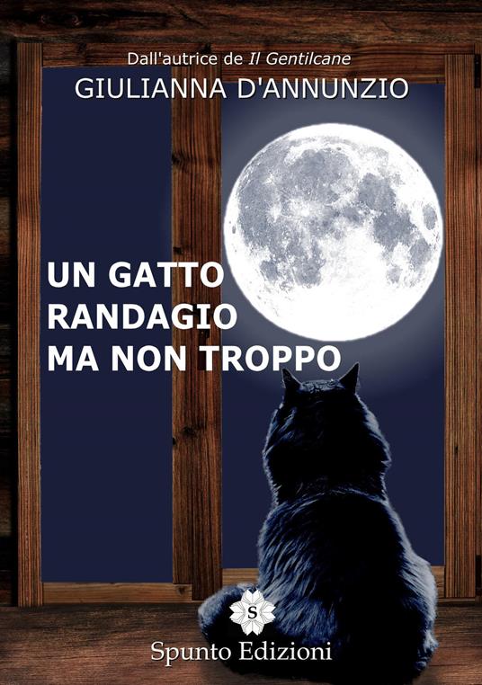 Un gatto randagio ma non troppo - Giulianna D'Annunzio - copertina