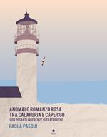 Anomalo romanzo rosa fra Calafuria e Cape Cod. Con pesanti ingerenze ultraterrene