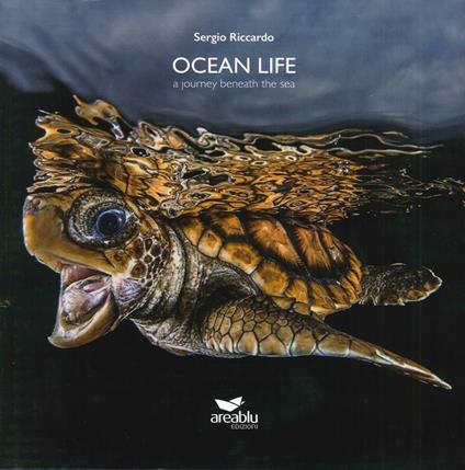 Ocean life. A journey beneath the sea. Ediz. multilingue - Sergio Riccardo,Francesca Romana Reinero - copertina