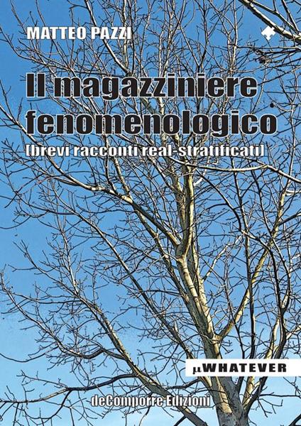 Il magazziniere fenomenologico - Matteo Pazzi - copertina