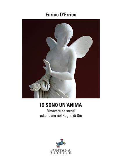 Io sono un'anima. Ritrovare se stessi ed entrare nel regno di dio - Enrico D'Errico - ebook