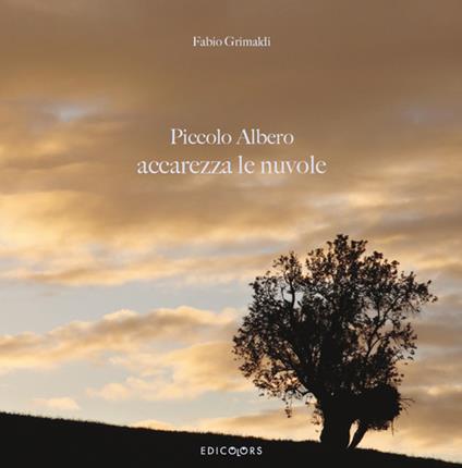 Piccolo albero accarezza le nuvole. Ediz. illustrata - Fabio Grimaldi - copertina