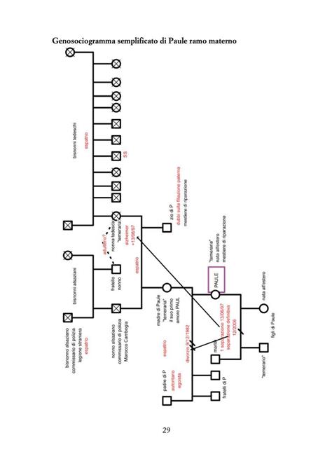 Jung, psicogenealogia e costellazioni familiari. Inconscio collettivo e sincronicità - Maura Saita Ravizza - 2