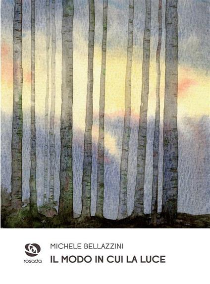 Il modo in cui la luce - Michele Bellazzini - ebook