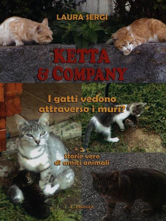Ketta & company. I gatti vedono attraverso i muri? - Laura Sergi - copertina
