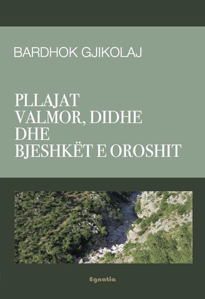 Pllajat Valmor, Didhe dhe Bjeshkët e Oroshit - Bardhok Gjikolaj - copertina