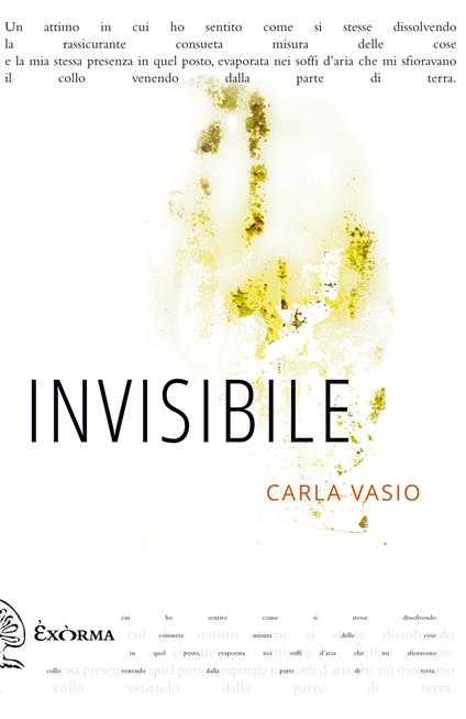 Invisibile - Carla Vasio - ebook