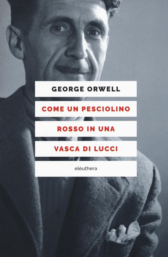 Come un pesciolino rosso in una vasca di lucci - George Orwell - copertina