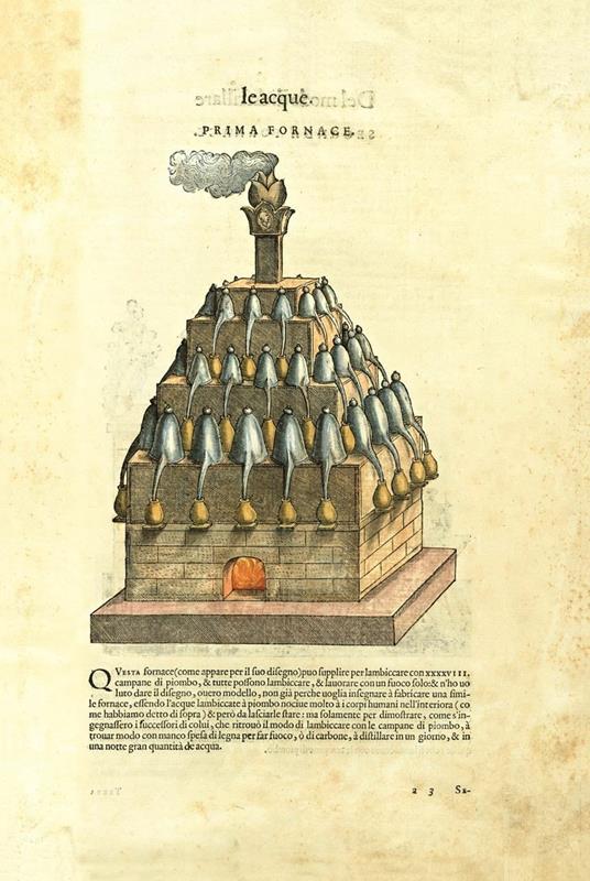 I Discorsi di P.A. Mattioli. L'esemplare dipinto da Gherardo Cibo. Facsimile. Commentario in lingua italiana - P. Andrea Mattioli - 14