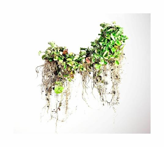 Naked plants. Ediz. italiana - Gianluca Balocco - 8