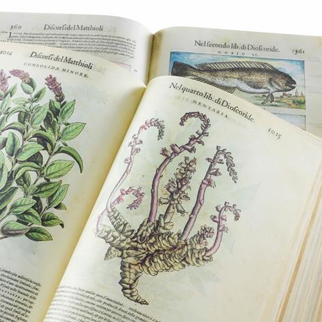 I Discorsi di P.A. Mattioli. Facsimile with a Commentary volume in English language - Pietro Andrea Mattioli - 3