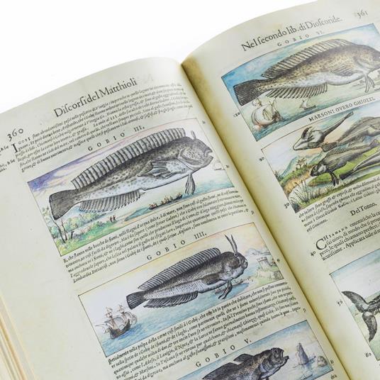 I Discorsi di P.A. Mattioli. Facsimile with a Commentary volume in English language - Pietro Andrea Mattioli - 5