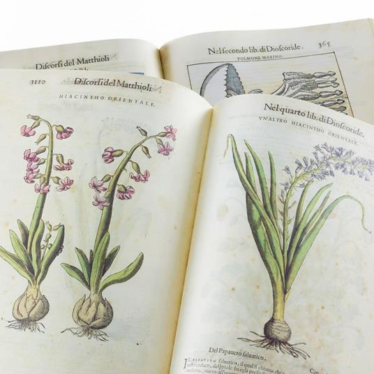 I Discorsi di P.A. Mattioli. Facsimile with a Commentary volume in English language - Pietro Andrea Mattioli - 6