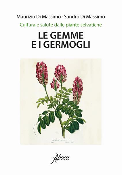 Le gemme e i germogli - Maurizio Di Massimo,Sandro Di Massimo - copertina