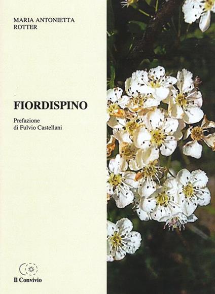 Fiordispino - Maria Antonietta Rotter - copertina