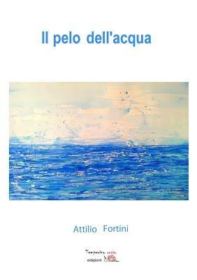 Il pelo dell'acqua - Attilio Fortini - copertina