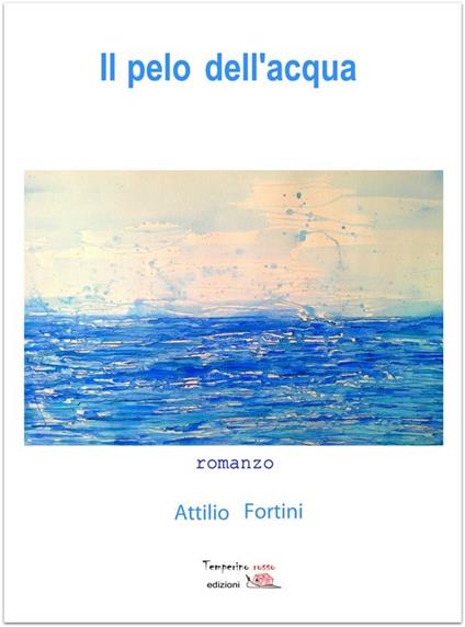 Il pelo dell'acqua - Attilio Fortini - ebook