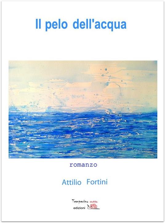 Il pelo dell'acqua - Attilio Fortini - ebook