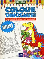 Colour dinosauri maxi