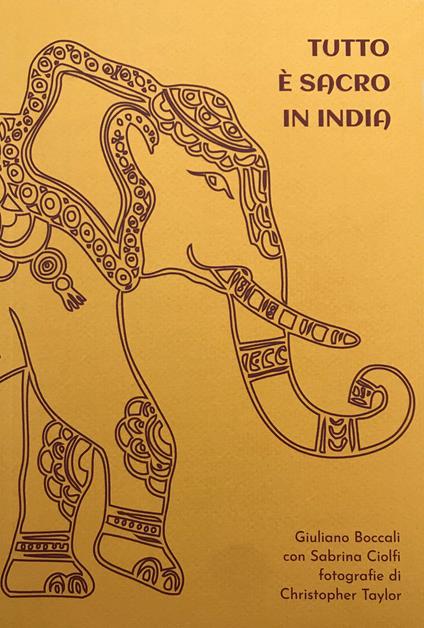 Tutto è sacro in India - Giuliano Boccali,Sabrina Ciolfi - copertina