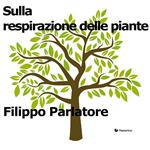 Sulla respirazione delle piante