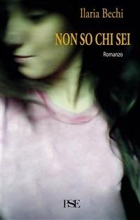 Non so chi sei - Ilaria Bechi - ebook