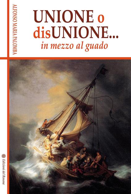 Unione o disunione... in mezzo al guado - Alfonso M. Palomba - copertina