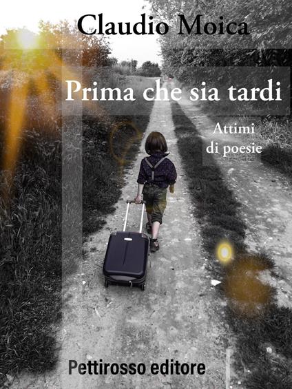 Prima che sia tardi. Attimi di poesie - Claudio Moica - copertina