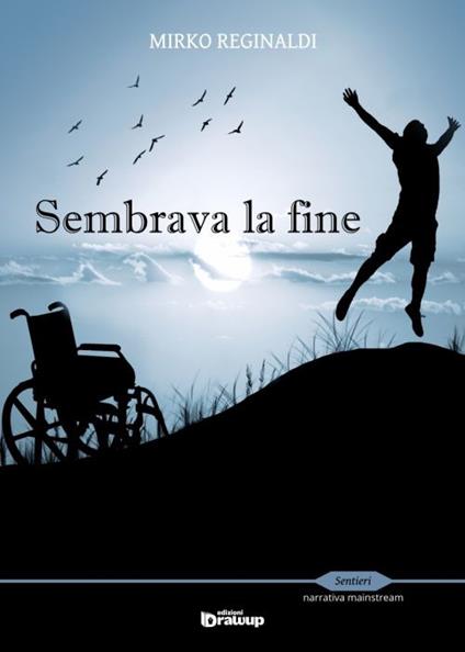Sembrava la fine - Mirko Reginaldi - copertina