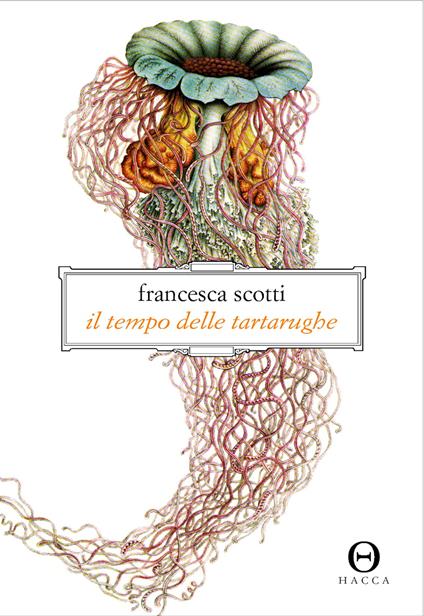 Il tempo delle tartarughe - Francesca Scotti - copertina