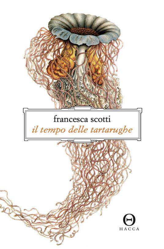 Il tempo delle tartarughe - Francesca Scotti - ebook